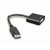 Gembird A-DPM-DVIF-002 DisplayPort to DVI adapter cable Black