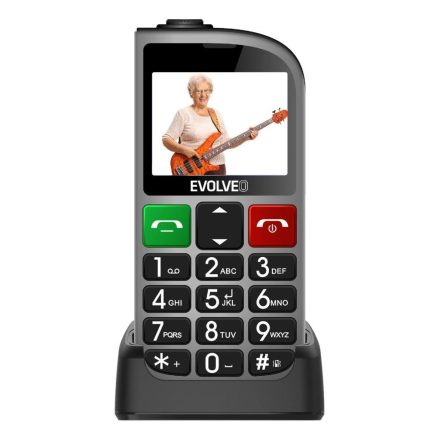 Evolveo EasyPhone EP-801 FL DualSIM Silver