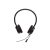 Jabra Evolve 20 UC Duo USB Black