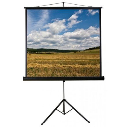 FUNSCREEN 72" (1:1) manuális hordozható vetítővászon (Tripod, Méret: 160x160 cm)