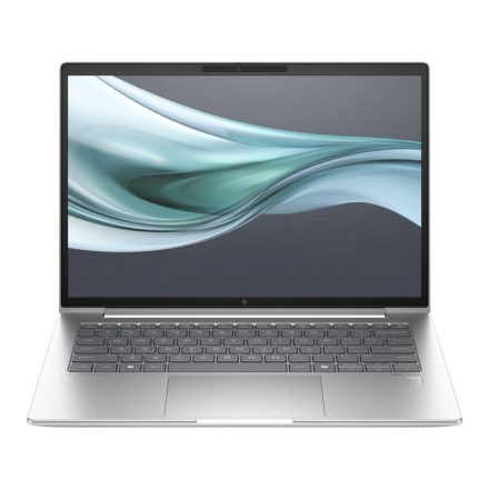 HP ProBook 460 G11 Silver