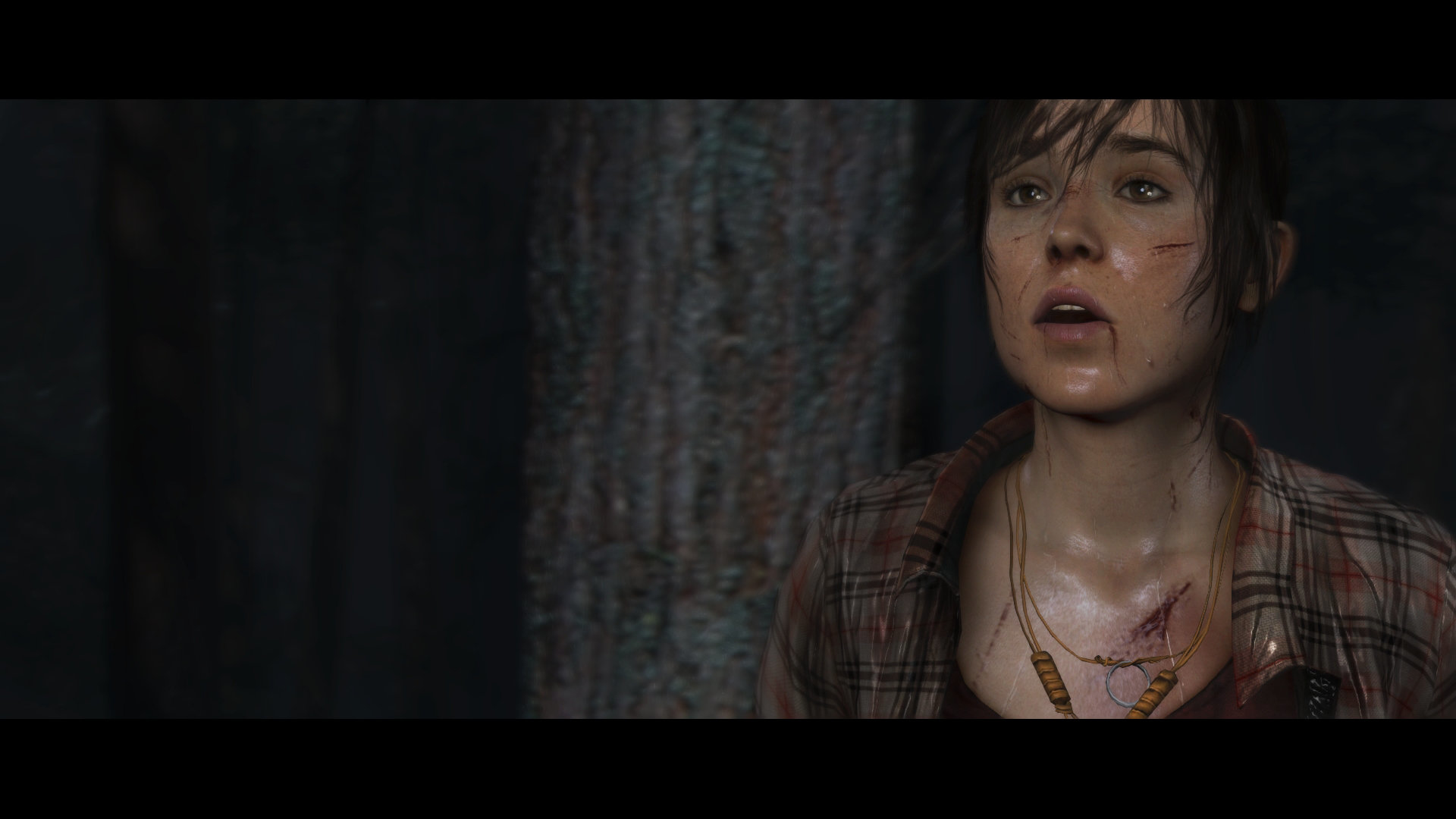Heavy Rain & Beyond: Two Souls Collection (PS4) 2