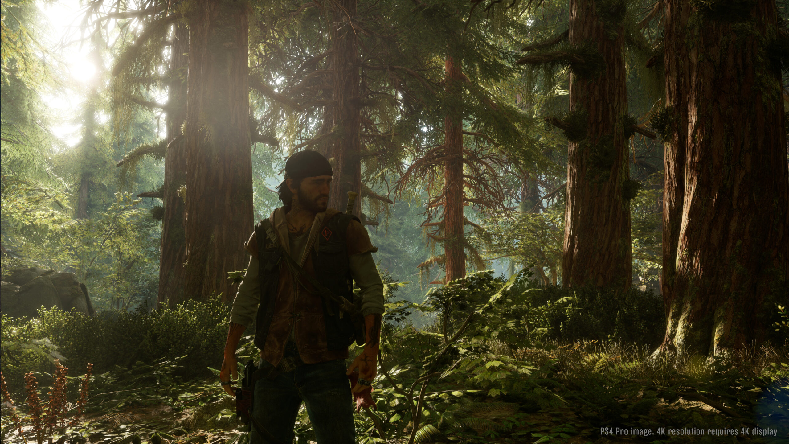Days Gone (PS4) 3