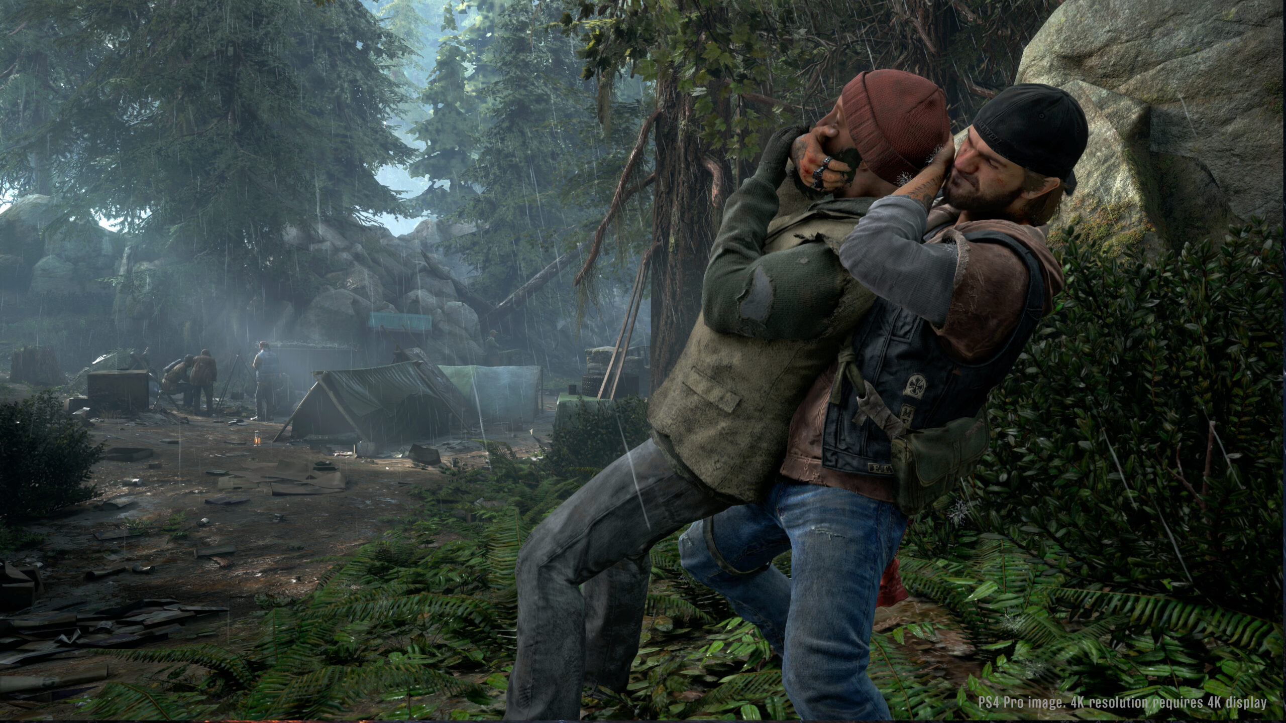 Days Gone (PS4) 5