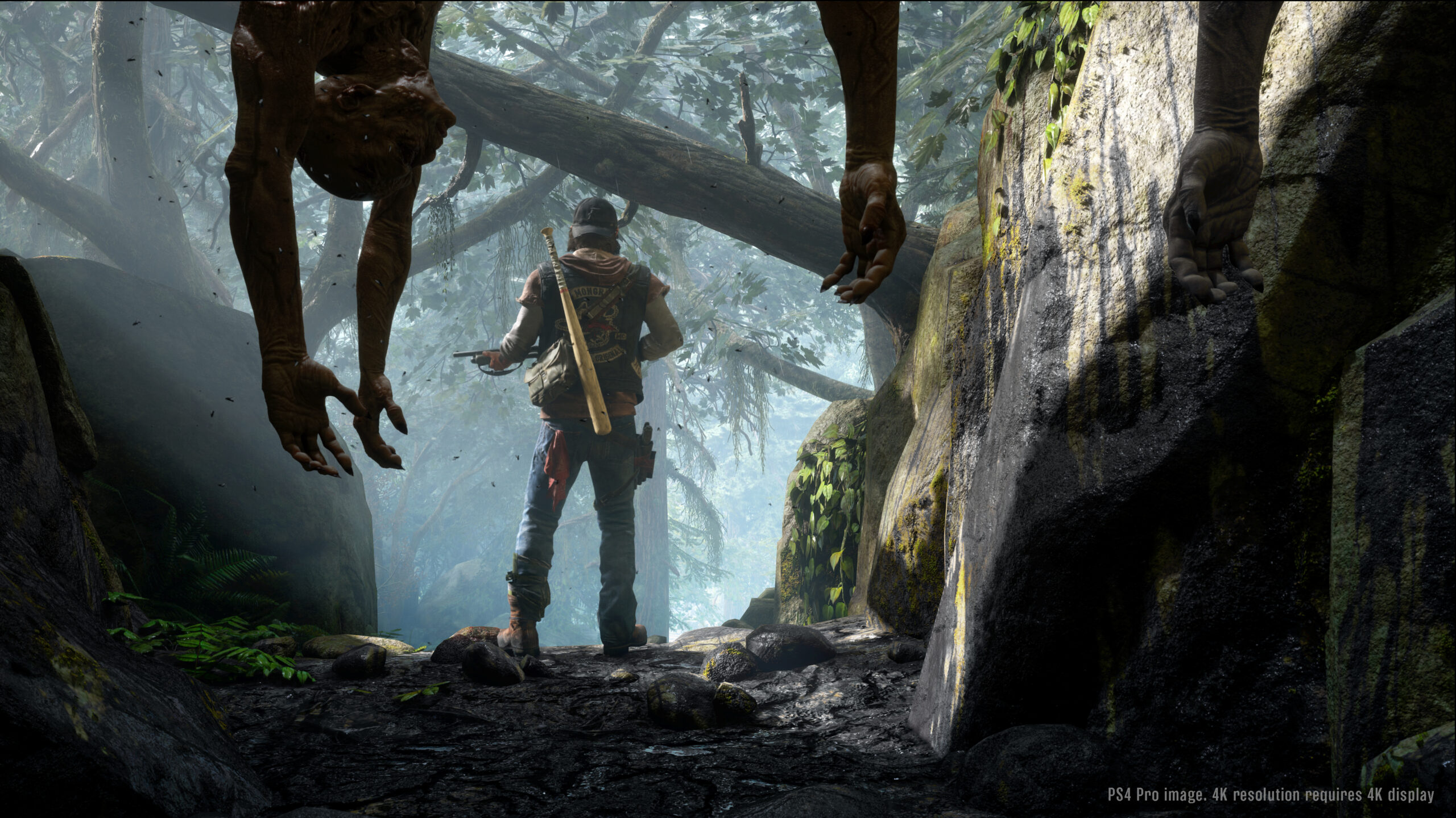 Days Gone (PS4) 2