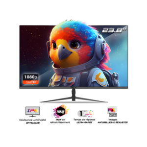 Spirit of Gamer 24" EPIC FHD IPS 165Hz HDMI/DP gamer monitor