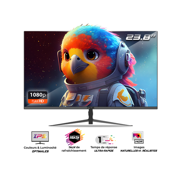 Spirit of Gamer 24" EPIC FHD IPS 165Hz HDMI/DP gamer monitor