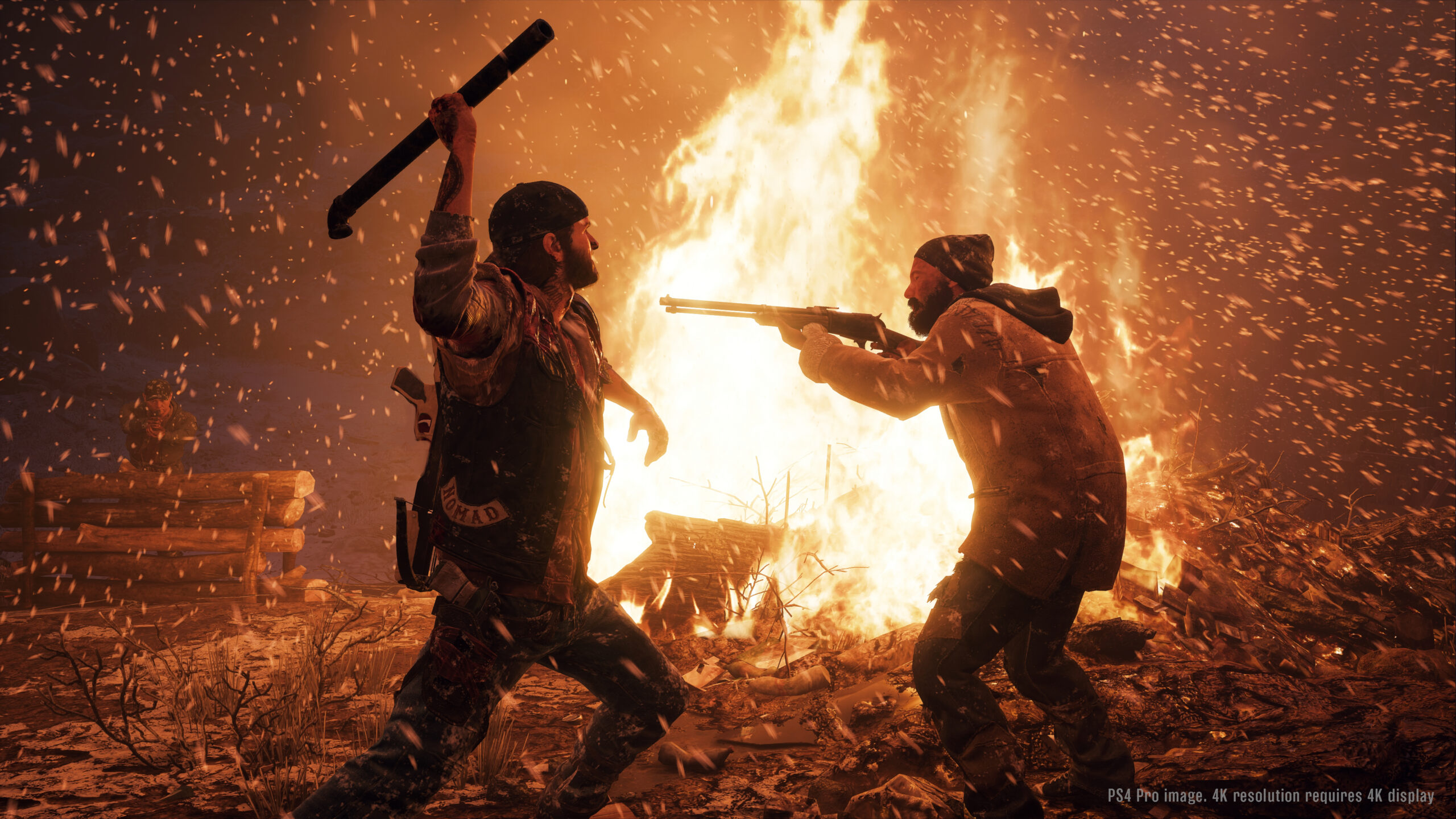Days Gone (PS4) 4